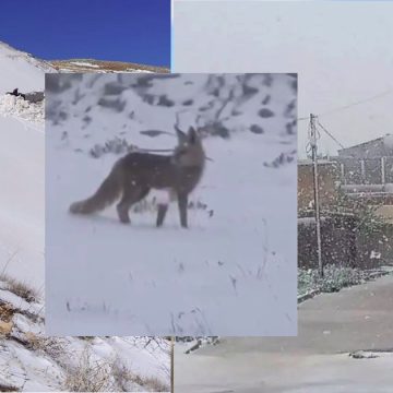 مرصد الطقس و المناخ/ الساعات القادمة: أمطار وبرد و ثلوج على المرتفعات