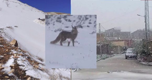 مرصد الطقس و المناخ/ الساعات القادمة: أمطار وبرد و ثلوج على المرتفعات