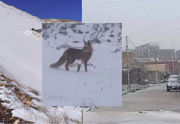 مرصد الطقس و المناخ/ الساعات القادمة: أمطار وبرد و ثلوج على المرتفعات