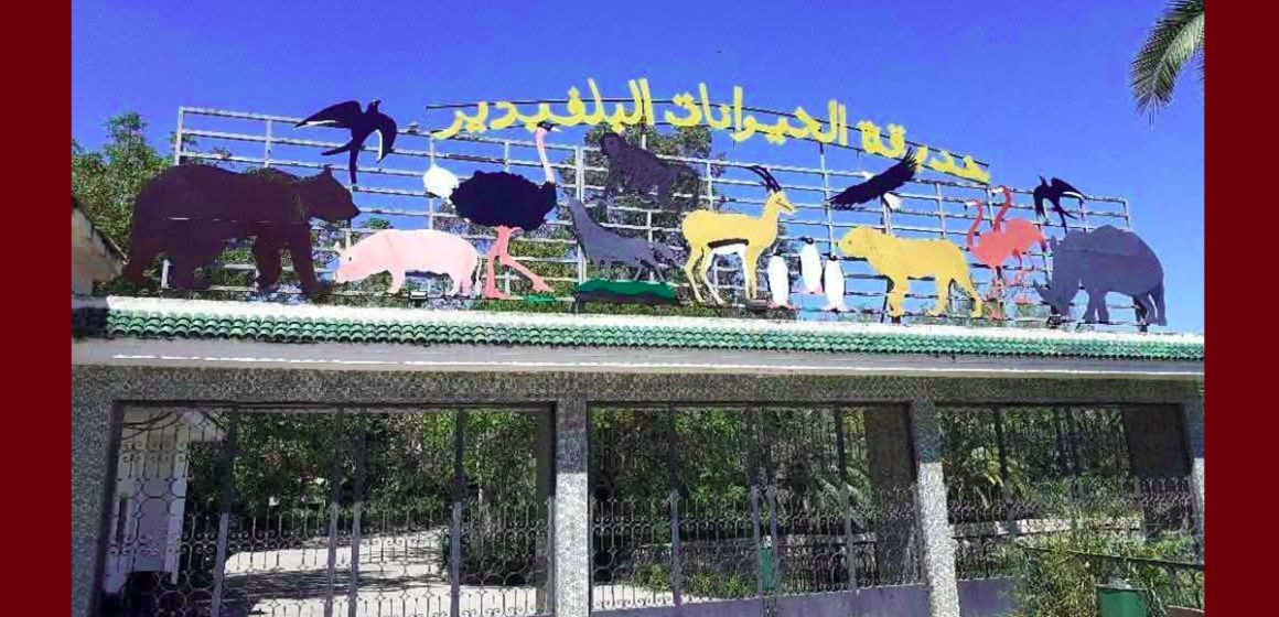 تونس: غلق حديقة الحيوانات بالبلفيدير لمدة شهر بداية من يوم 13 أفريل الجاري