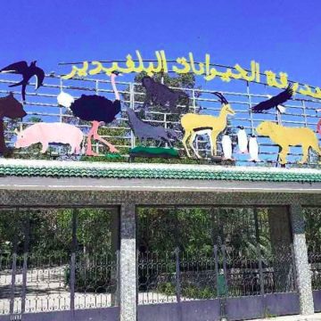 تونس: غلق حديقة الحيوانات بالبلفيدير لمدة شهر بداية من يوم 13 أفريل الجاري