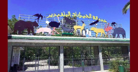تونس: غلق حديقة الحيوانات بالبلفيدير لمدة شهر بداية من يوم 13 أفريل الجاري