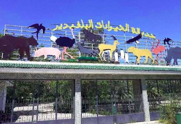 تونس: غلق حديقة الحيوانات بالبلفيدير لمدة شهر بداية من يوم 13 أفريل الجاري