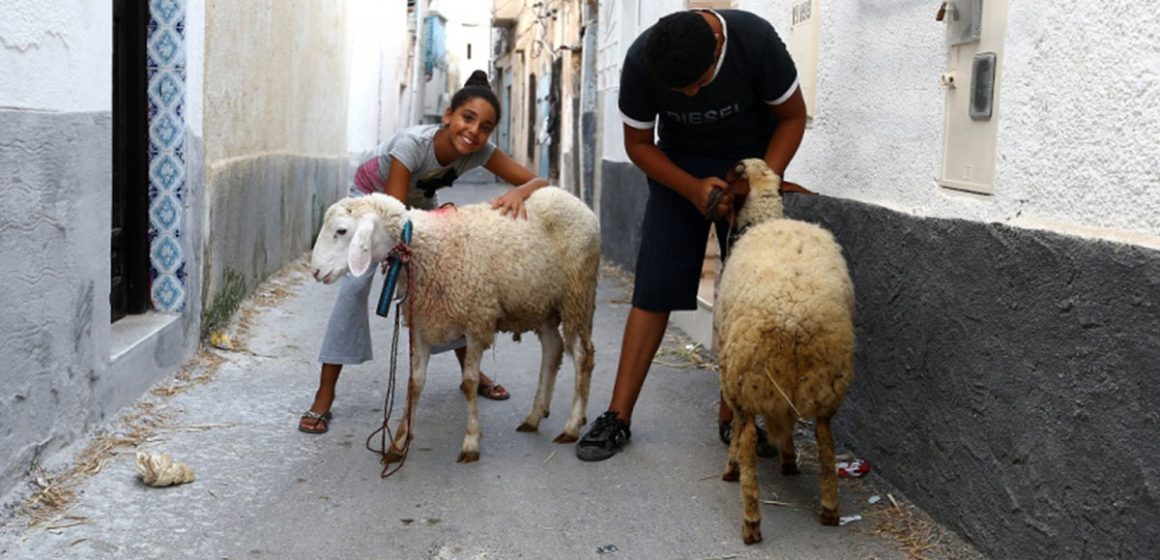 مفتي الجمهورية: رسميا عيد الأضحى بتونس يوم 27 ماي الجاري