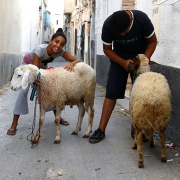 مفتي الجمهورية: رسميا عيد الأضحى بتونس يوم 27 ماي الجاري