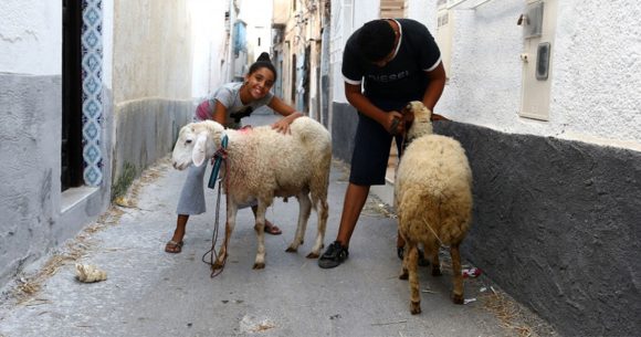 مفتي الجمهورية: رسميا عيد الأضحى بتونس يوم 27 ماي الجاري