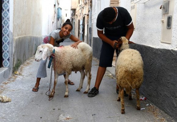مفتي الجمهورية: رسميا عيد الأضحى بتونس يوم 27 ماي الجاري