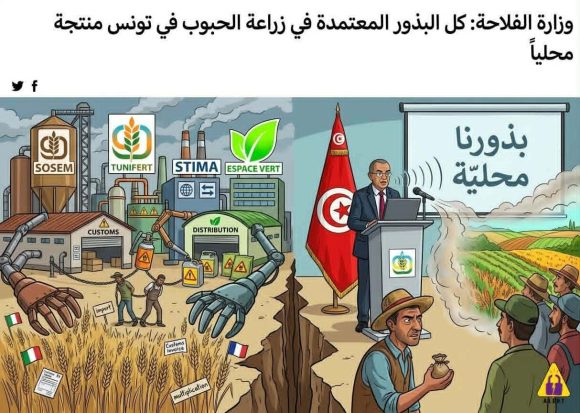 منظمة ​آلارت: في مواجهة التضليل الرسمي حول السيادة البذرية في تونس
