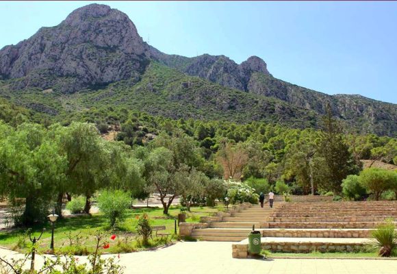  جبل زغوان: منع للعموم الزيارات للحديقة الوطنية و التخييم فيها إلى غاية 31 أكتوبر القادم