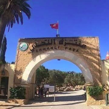 حفاظا على السلامة العامة، غلق منتزه النحلي مدة يوم لصيد الخنزير البري (فيديو)