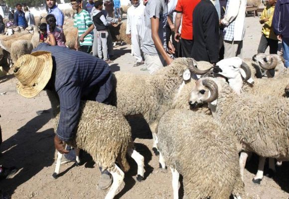 حين يصبح العيد بعيد المنال