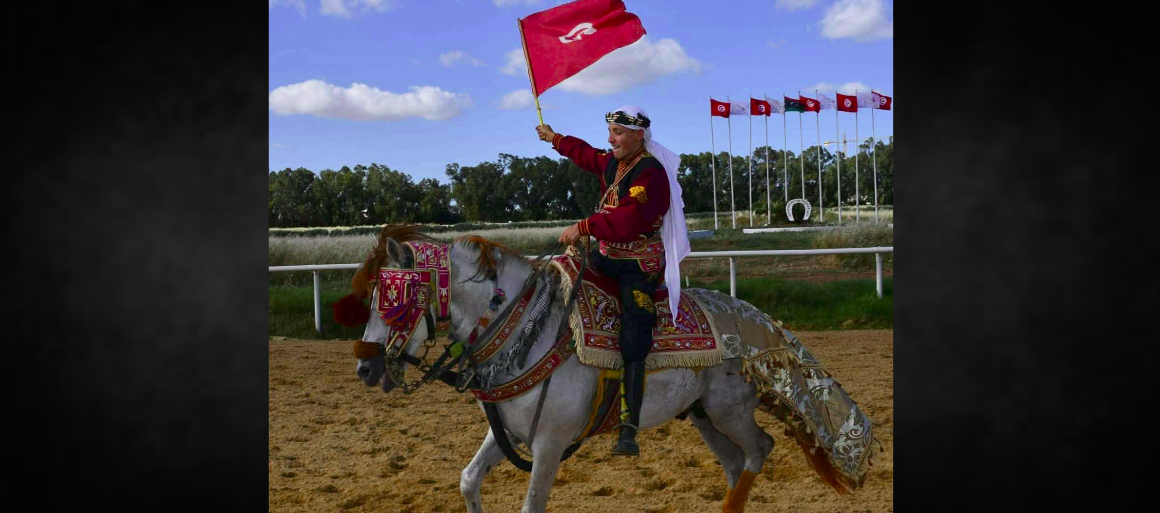 قصر السعيد: المهر “راي” يفوز بالجائزة الكبرى لكأس تونس للأمهار والمهرات العربية الأصيلة