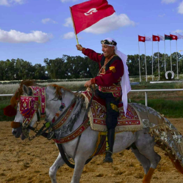 قصر السعيد: المهر “راي” يفوز بالجائزة الكبرى لكأس تونس للأمهار والمهرات العربية الأصيلة