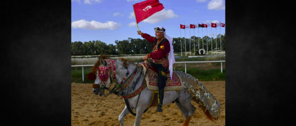 cheval قصر السعيد: المهر “راي” يفوز بالجائزة الكبرى لكأس تونس للأمهار والمهرات العربية الأصيلة