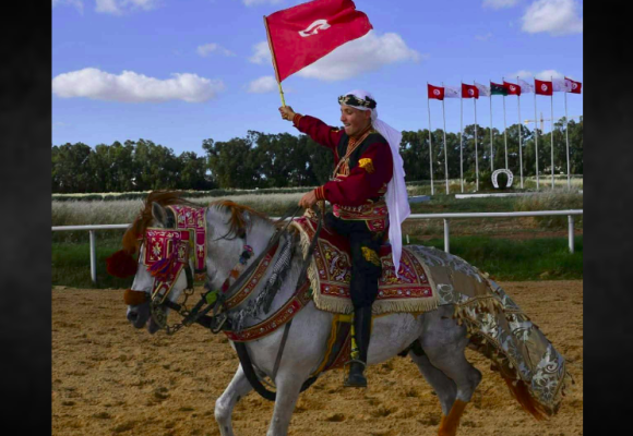 قصر السعيد: المهر “راي” يفوز بالجائزة الكبرى لكأس تونس للأمهار والمهرات العربية الأصيلة