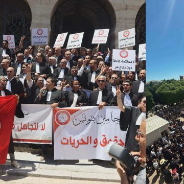 المحامين نجاح تحركات المحامين، العميد بوبكر بالثابت في كلمة لزملائه (فيديو)