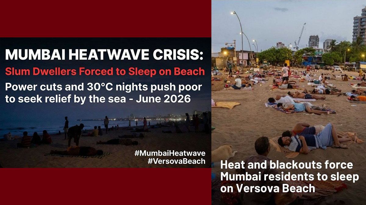 تونس – من الأحياء الهشة في الهند والعزلة القسرية من حرارة الليل على الشواطئ، بقلم المهندس البيئي حمدي حشاد تونس – من الأحياء الهشة في الهند والعزلة القسرية من حرارة الليل على الشواطئ، بقلم المهندس البيئي حمدي حشاد