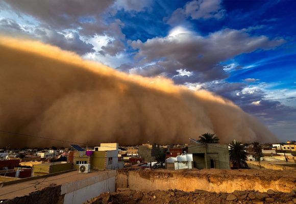صورة اليوم من دوز، نشر و تعليق المهندس البيئي حمدي حشاد