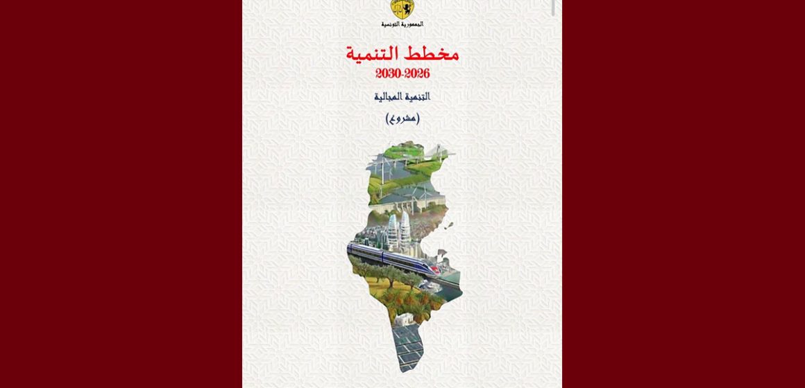 النائب محمد علي : قراءة في وثيقة “التنمية المجالية” ضمن مشروع مخطط التنمية 2026-2030