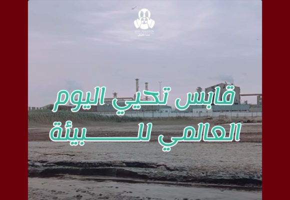 على طريقتها، ڨابس تحيي اليوم العالمي للبيئة تحت عنوان: “الحراك متواصل”