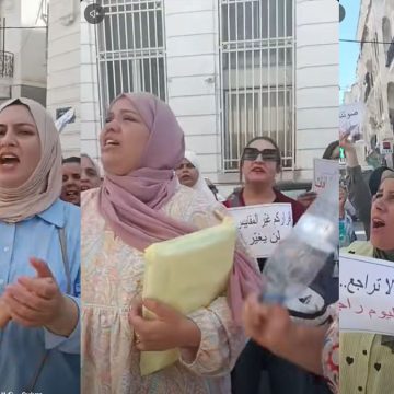 طالت بطالتهن، منظمة مساواة تتضامن مع الدكاترة المعتصمات امام وزارة المرأة
