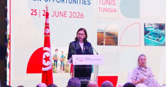  المنصة الوطنية للمستثمر : خطوة رقمية جيدة لن تكفي وحدها
