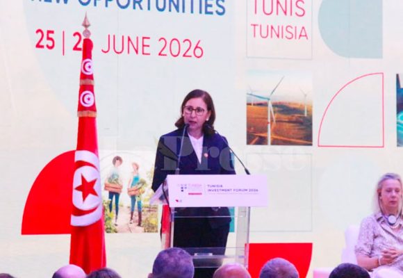  المنصة الوطنية للمستثمر : خطوة رقمية جيدة لن تكفي وحدها