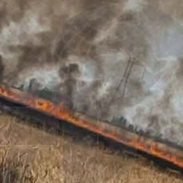 incendie Manouba منوبة: السيطرة على حريق أتى على عدة هكتارات من مساحات القمح والشعير والأعلاف المزروعة