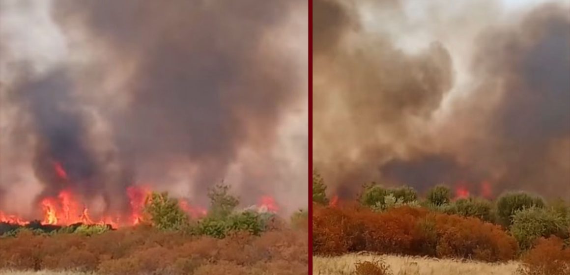 حريق جندوبة: الحماية المدنية و حماية الغابات بصدد تطويق حريق بوهرتمة