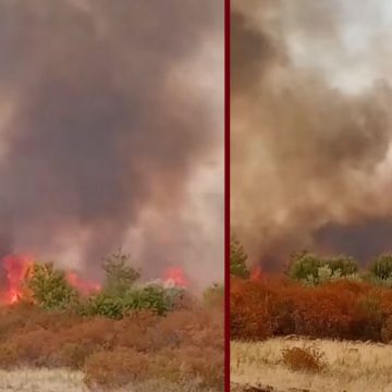جندوبة: الحماية المدنية و حماية الغابات بصدد تطويق حريق بوهرتمة