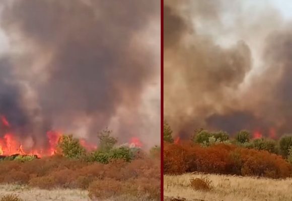 جندوبة: الحماية المدنية و حماية الغابات بصدد تطويق حريق بوهرتمة