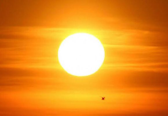 المرصد التونسي للطقس و المناخ: كان اليوم حارا جدا بجندوبة حوالي 49°