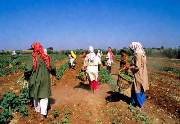 جبنيانة-صفاقس: وفاة العاملة الفلاحية دليلة عبد المؤمن، أم لطفلين جراء ضربة شمس أثناء عملها