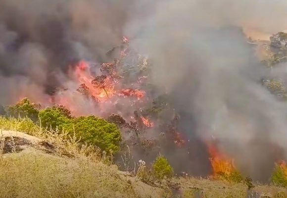 ساقية سيدي يوسف: التضاريس والعوامل المناخية تعرقل المجهودات للسيطرة على الحرائق (فيديو)