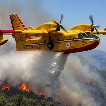 بحبة: لماذا تحتاج تونس إلى طائرات Canadair لمكافحة حرائق الغابات؟