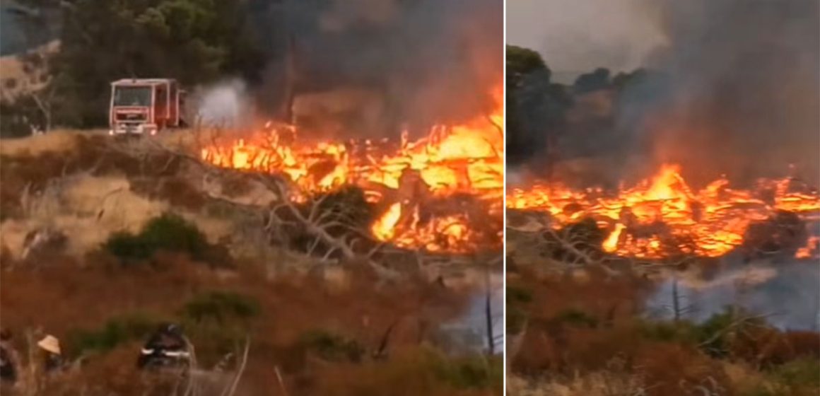 جندوبة: الجهود متواصلة لاخماد الحريق بالخرايصية بجبال بوعديلة بغار الدماء (فيديو)
