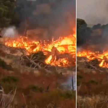 حريق جندوبة: الجهود متواصلة لاخماد الحريق بالخرايصية بجبال بوعديلة بغار الدماء (فيديو)