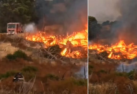 جندوبة: الجهود متواصلة لاخماد الحريق بالخرايصية بجبال بوعديلة بغار الدماء (فيديو)