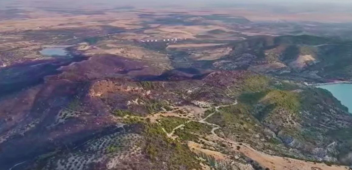 تقرير ولاية زغوان: السيطرة على حريق جبل الشحمة بعد ما يقارب عن يومين من اشتعاله (فيديو)