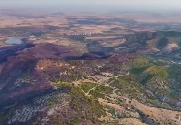 تقرير ولاية زغوان: السيطرة على حريق جبل الشحمة بعد ما يقارب عن يومين من اشتعاله (فيديو)