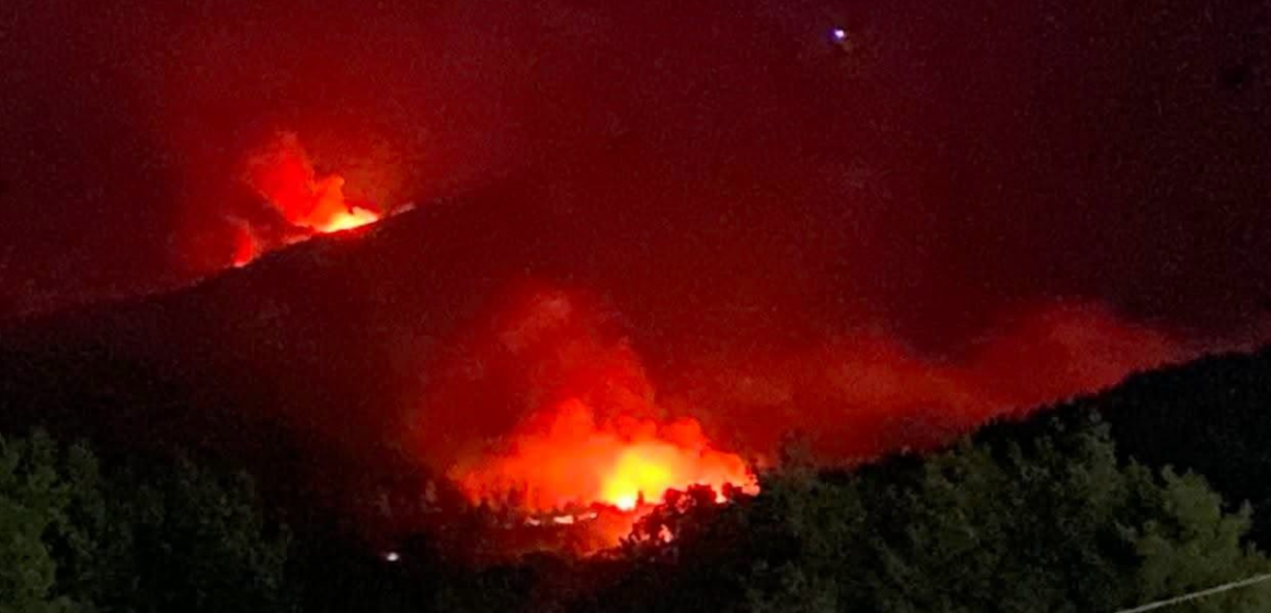 Jendouba incendie جندوبة: نشوب حريقين في نفس الوقت بغابات عين دراهم