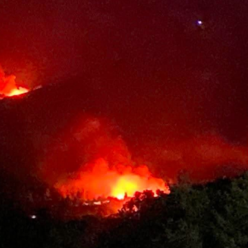 Jendouba incendie جندوبة: نشوب حريقين في نفس الوقت بغابات عين دراهم