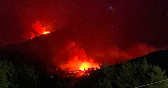 Jendouba incendie جندوبة: نشوب حريقين في نفس الوقت بغابات عين دراهم