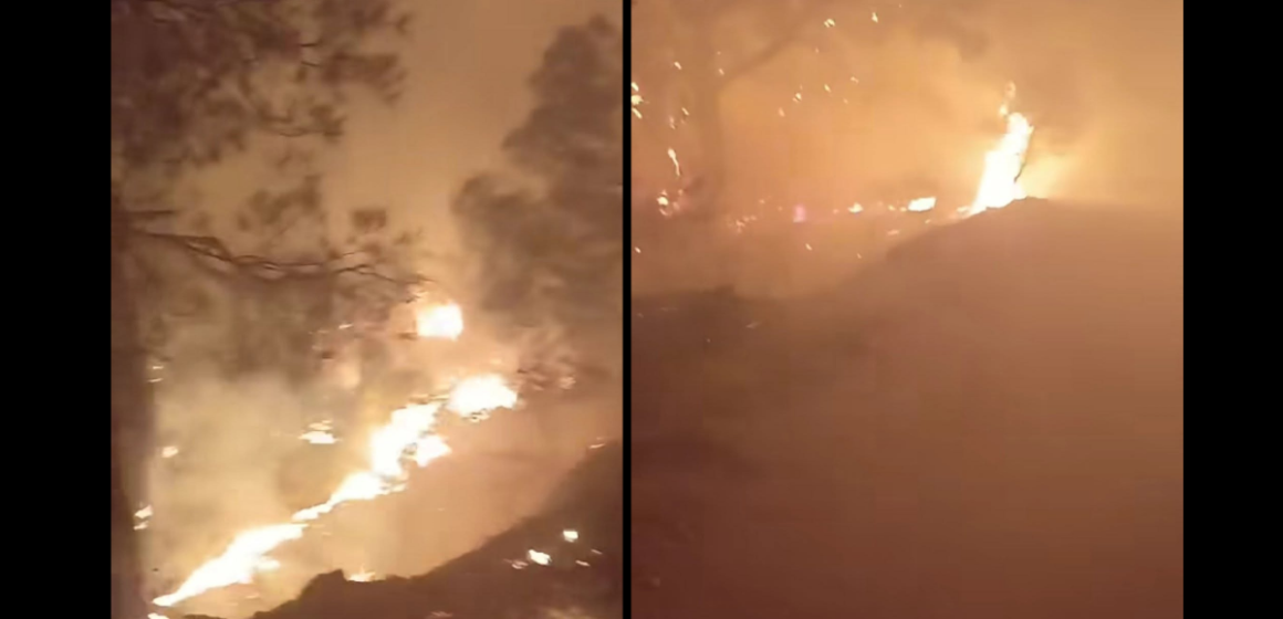 Neber incendie نبر: السيطرة على 90% من حريق جبل الطويلة وكل الخوف من هبوب الرياح المتوقعة