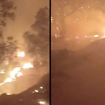 Neber incendie نبر: السيطرة على 90% من حريق جبل الطويلة وكل الخوف من هبوب الرياح المتوقعة