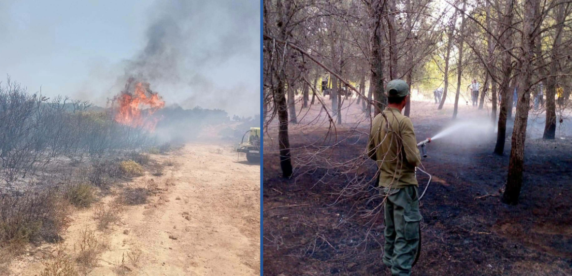 incendie بـلاغ/ حول مجابهة حرائق الغابات في وموجة الحر الشديد