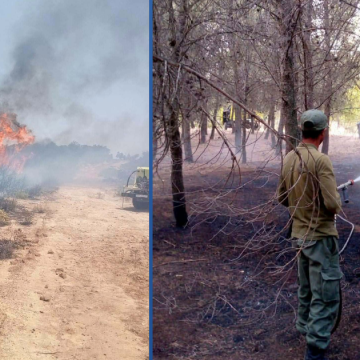 incendie بـلاغ/ حول مجابهة حرائق الغابات في وموجة الحر الشديد