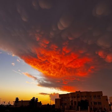 سحب سماء القيروان اليوم مشهد يخطف الأنفاس، حمدي حشاد يعطي فكرة على سحب الماماتوس (فيديو)