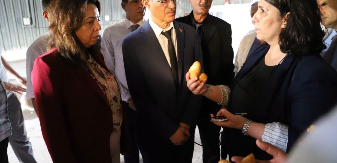 نابل: وزير الفلاحة يؤكد أهميّة تكوين المخزون التّعديلي للبطاطا ويعاين مخازن التّبريد بالجهة