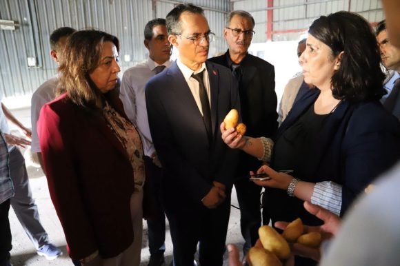 نابل: وزير الفلاحة يؤكد أهميّة تكوين المخزون التّعديلي للبطاطا ويعاين مخازن التّبريد بالجهة نابل: وزير الفلاحة يؤكد أهميّة تكوين المخزون التّعديلي للبطاطا ويعاين مخازن التّبريد بالجهة